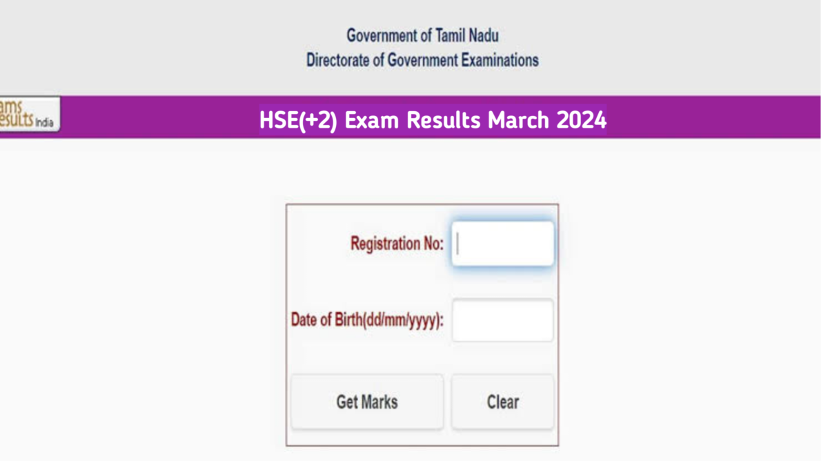 www tnresults nic in 12th result 2024